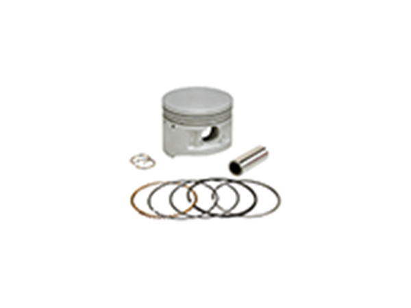 ΠΙΣΤΟΝΙ (KIT) STD (49MM) CRYPTON