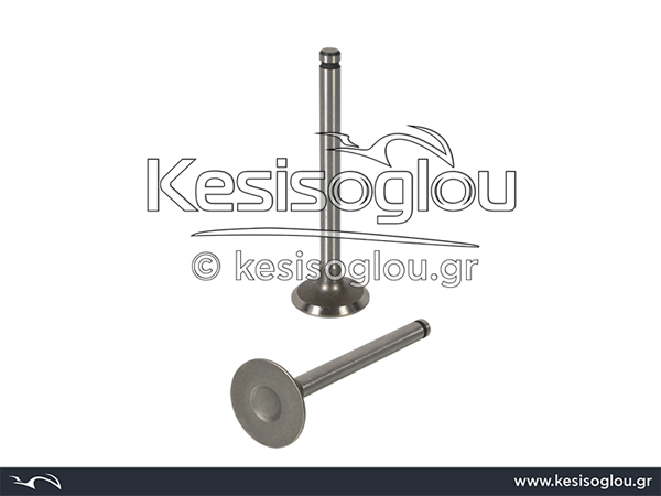 watermark