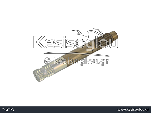 watermark