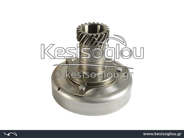 watermark
