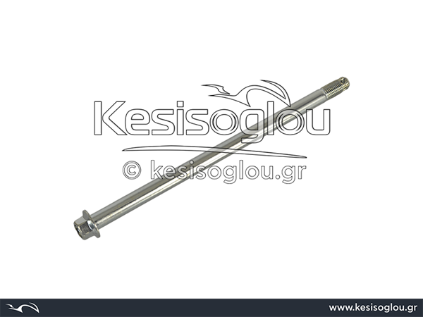 watermark