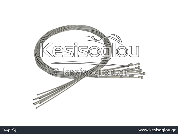 watermark