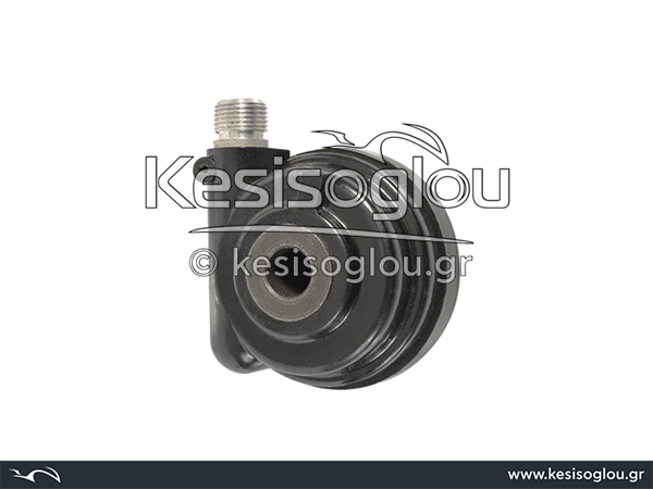 watermark