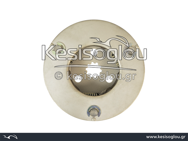 watermark