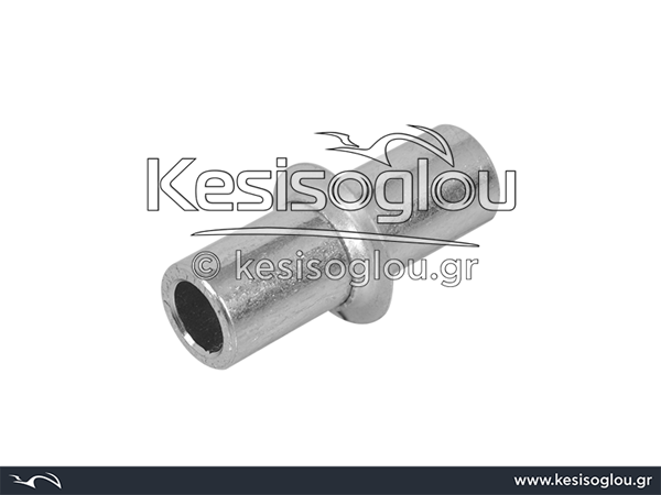 watermark