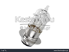 watermark