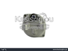 watermark