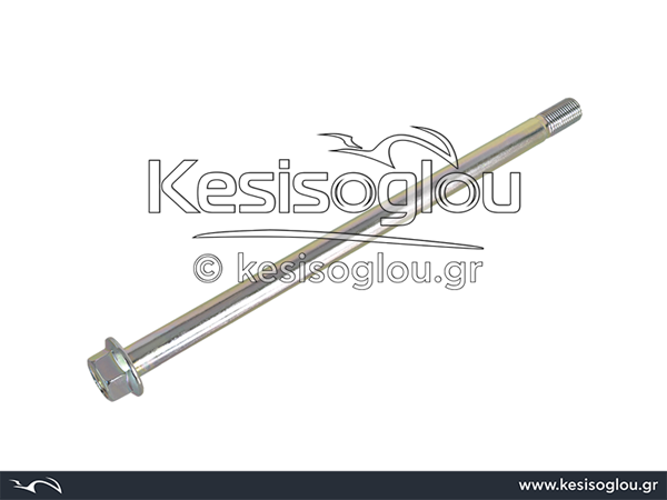 watermark