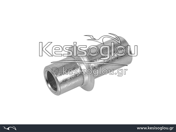 watermark