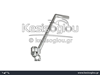 watermark