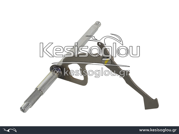 watermark