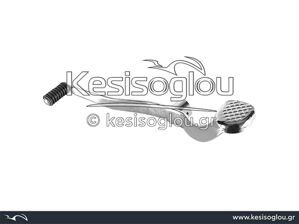 watermark