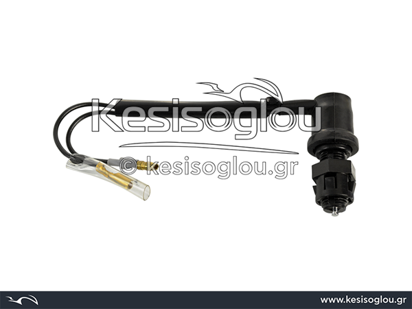 watermark