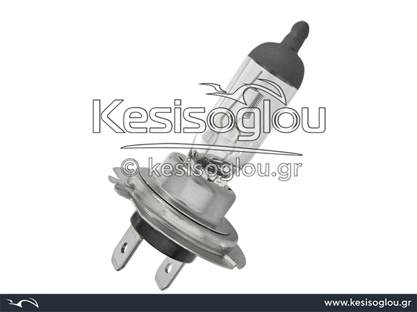 watermark