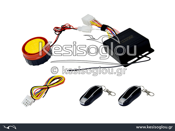 watermark