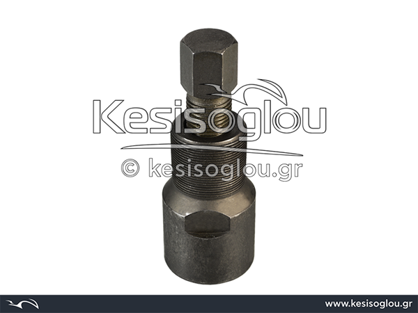 watermark