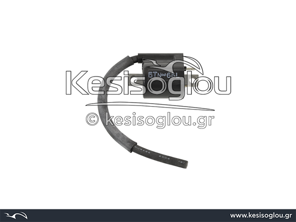 watermark
