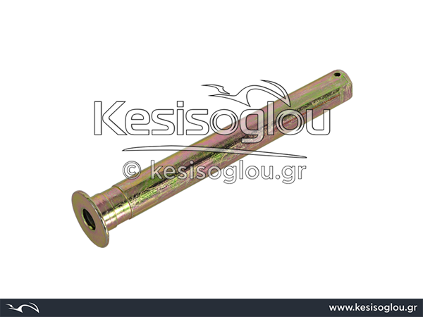watermark