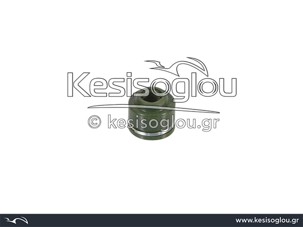 watermark