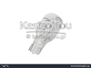 watermark
