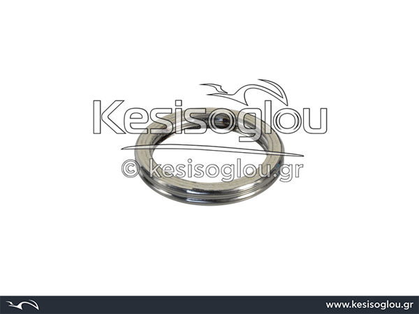 watermark