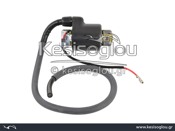 watermark