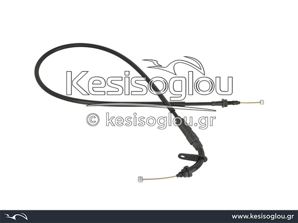 watermark