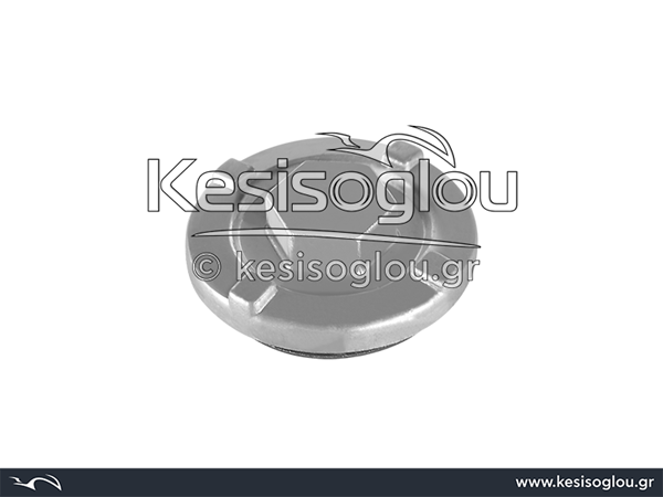 watermark