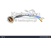 watermark