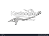 watermark