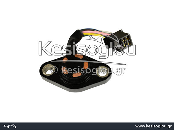 watermark