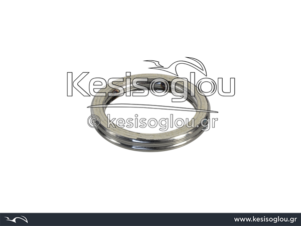 watermark