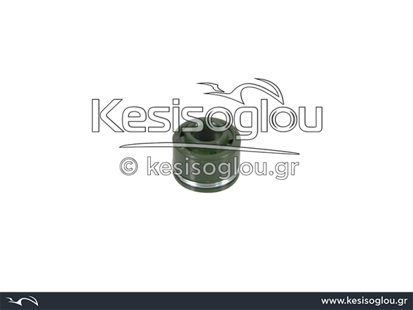 watermark