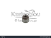 watermark