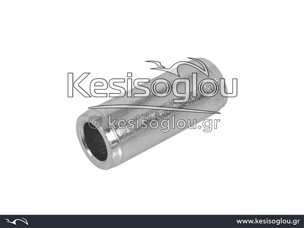 watermark