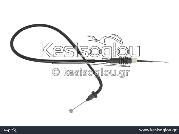 watermark