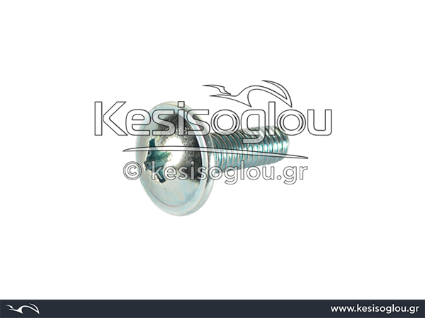 watermark