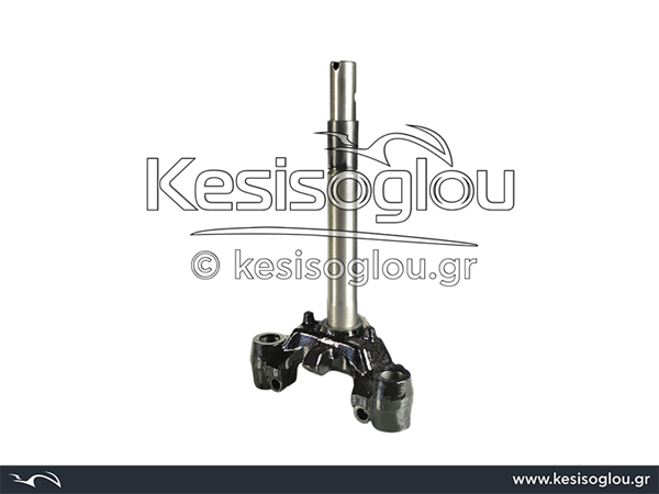 watermark