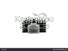 watermark