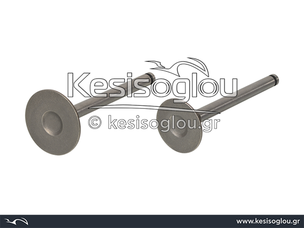watermark