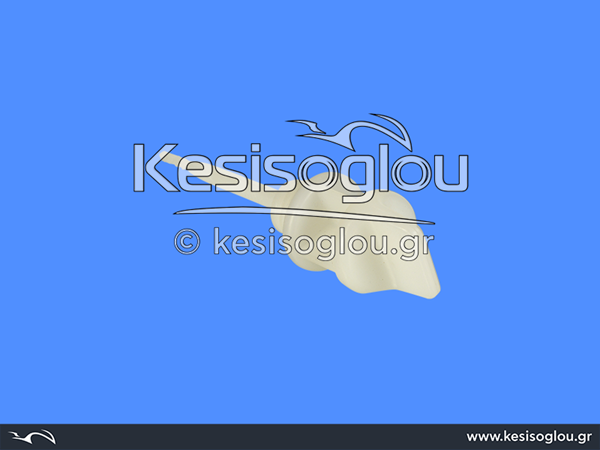 watermark