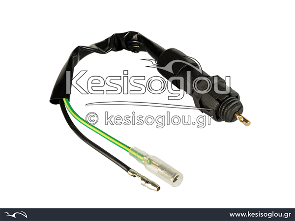 watermark