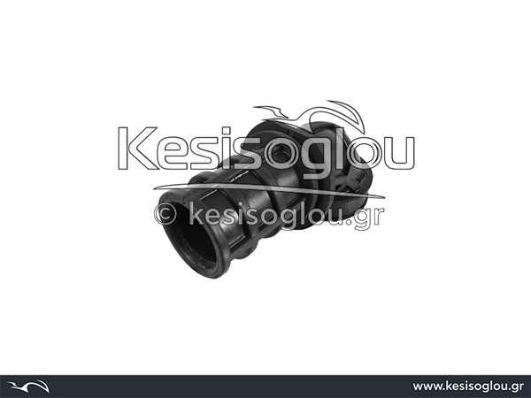 watermark