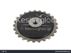 watermark