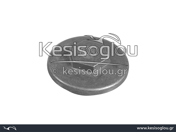 watermark