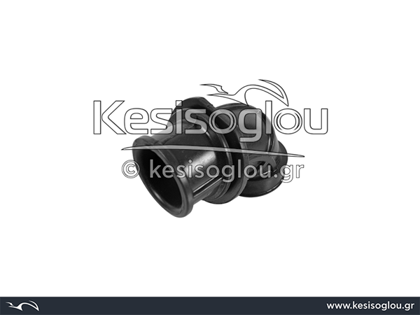 watermark