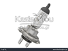watermark