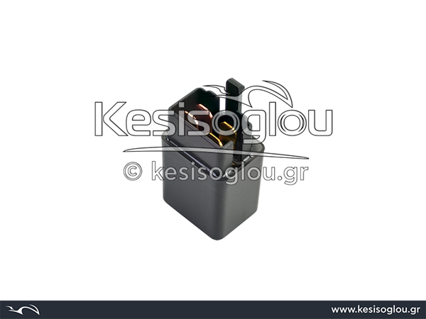 watermark