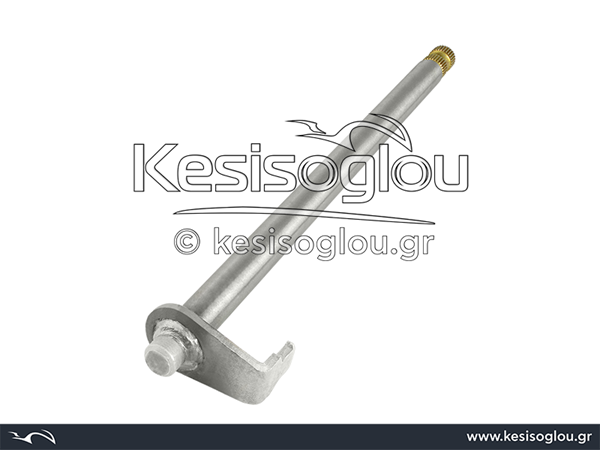 watermark