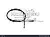 watermark